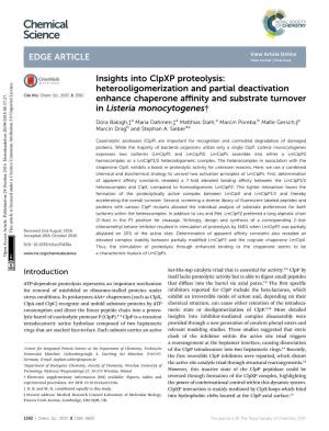 Insights Into Clpxp Proteolysis: Heterooligomerization and Partial Deactivation Cite This: Chem