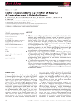 Temporal Patterns in Pollination of Deceptive Aristolochia Rotunda L