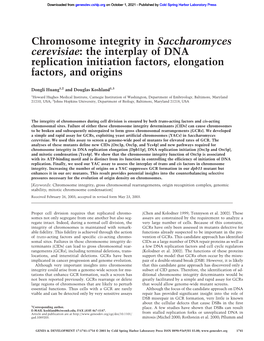 Chromosome Integrity in Saccharomyces Cerevisiae: the Interplay of DNA Replication Initiation Factors, Elongation Factors, and Origins