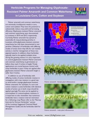 Herbicide Programs for Managing Glyphosate- Resistant Palmer Amaranth and Common Waterhemp in Louisiana Corn, Cotton and Soybean