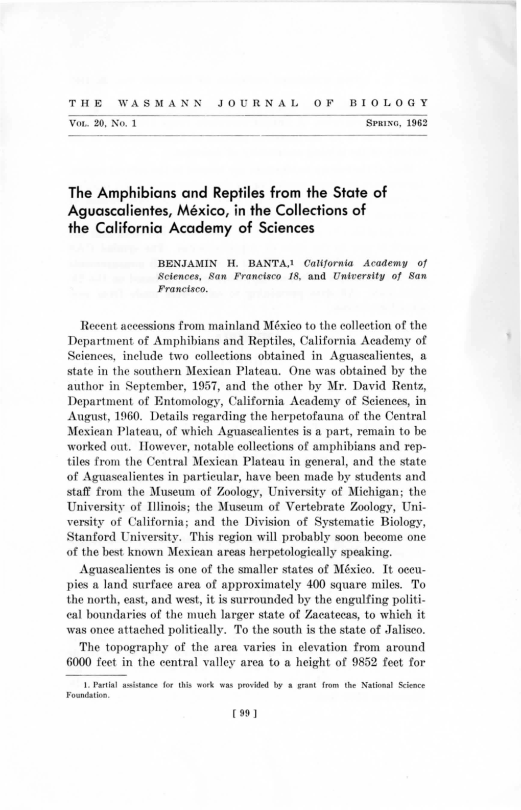 The Amphibians and Reptiles from the State of Aguascalientes, Mexico, in the Collections of the California Academy of Sciences