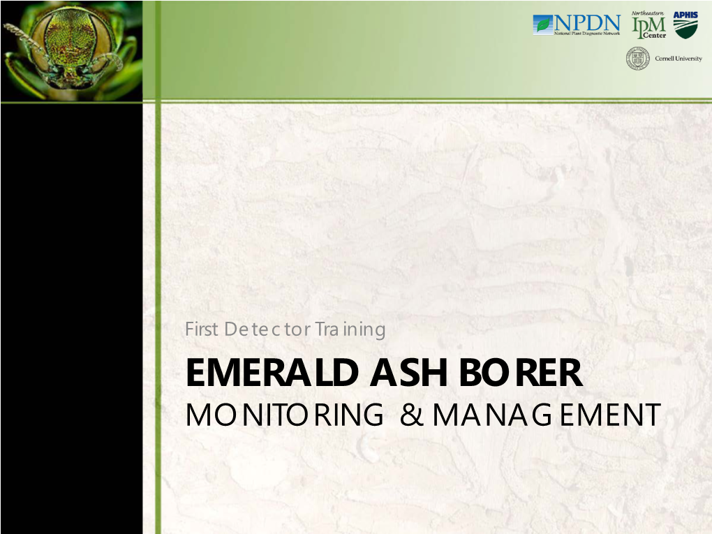 EMERALD ASH BORER MONITORING & MANAGEMENT EAB Module 2