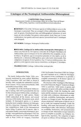 Catalogue of the Neotropical Anthocoridae (Heteroptera)