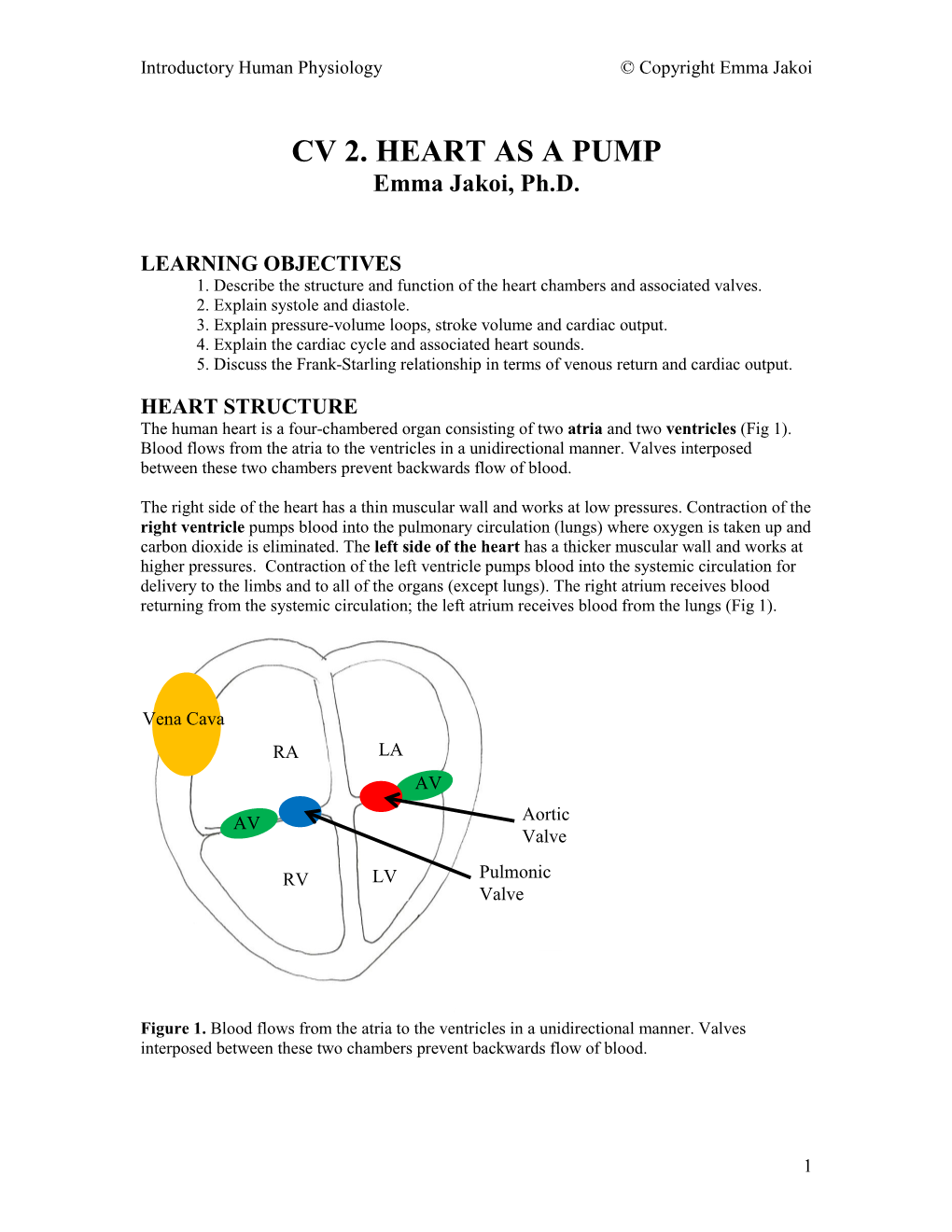 CV 2. HEART AS a PUMP Emma Jakoi, Ph.D