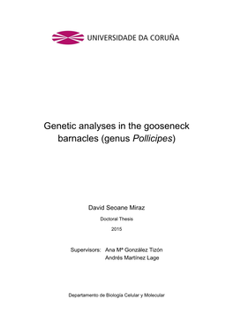 Genetic Analyses in the Gooseneck Barnacles(Genus "Pollicipes")