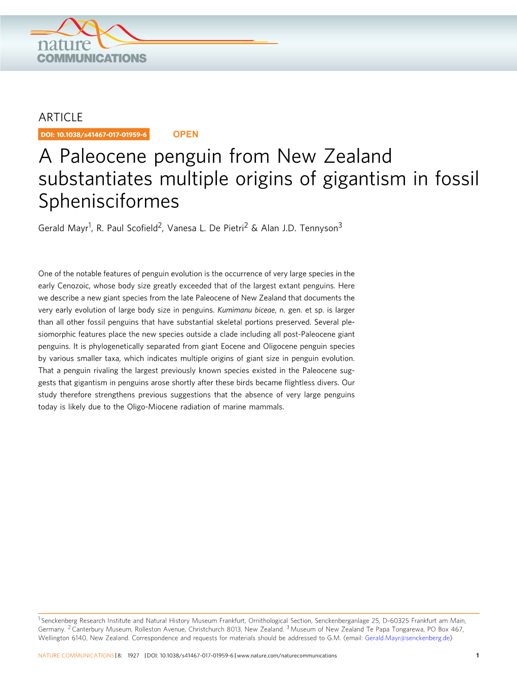 A Paleocene Penguin from New Zealand Substantiates Multiple Origins of Gigantism in Fossil Sphenisciformes