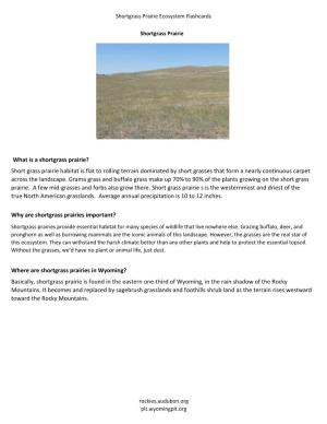 Where Are Shortgrass Prairies in Wyoming? Basically, Shortgrass Prairie Is Found in the Eastern One-Third of Wyoming, in the Rain Shadow of the Rocky Mountains