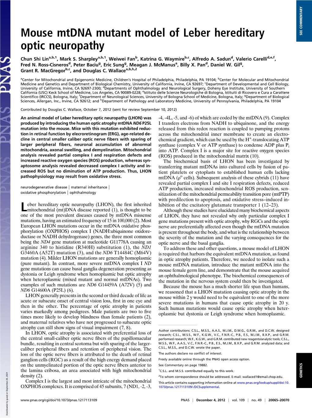 Mouse Mtdna Mutant Model of Leber Hereditary Optic Neuropathy