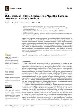 Yolomask, an Instance Segmentation Algorithm Based on Complementary Fusion Network