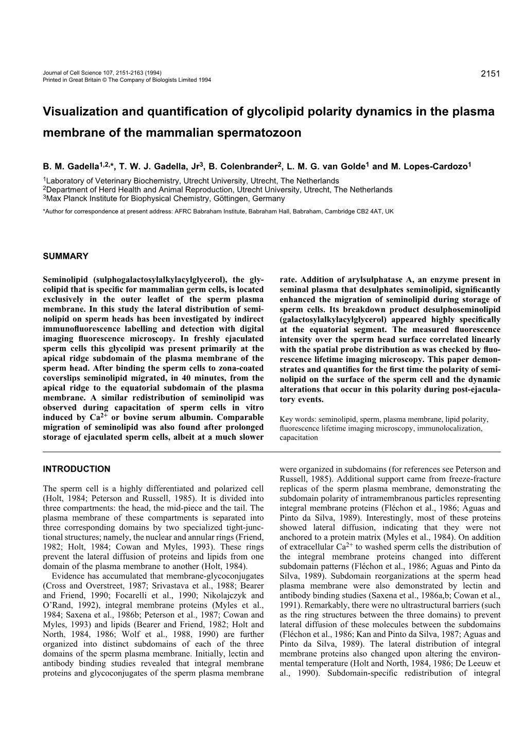 Visualization and Quantification of Glycolipid Polarity Dynamics in The