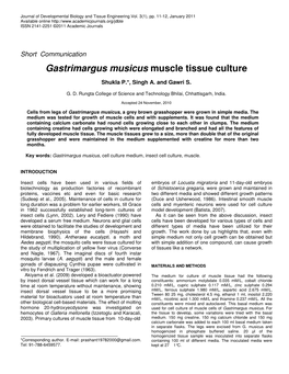 Gastrimargus Musicus Muscle Tissue Culture