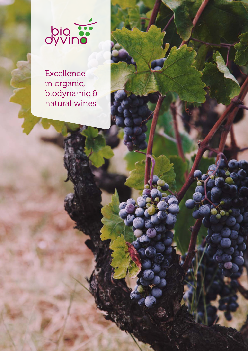 Excellence in Organic, Biodynamic & Natural Wines