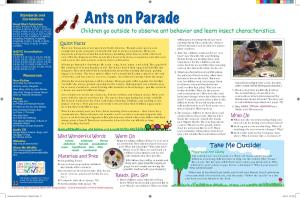 Ants on Parade