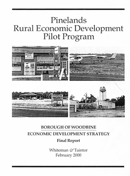 Borough of Woodbine: Economic Development Strategy