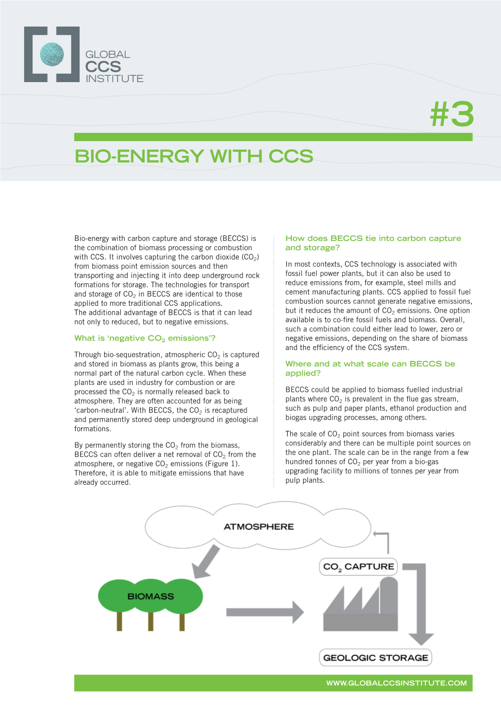 Bio-Energy with Ccs