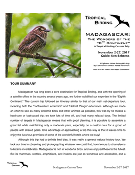 MADAGASCAR: the Wonders of the “8Th Continent” a Tropical Birding Custom Trip