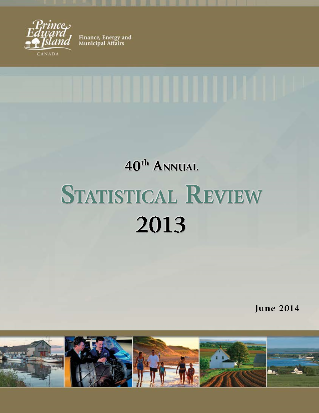 Annual Statistical Review 2013