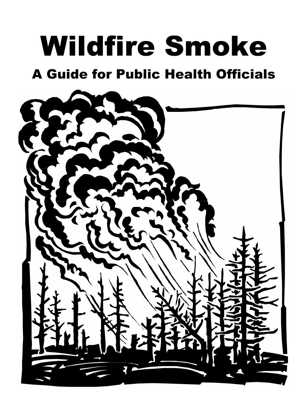 Wildfire Smoke: a Guide for Public Health Officials