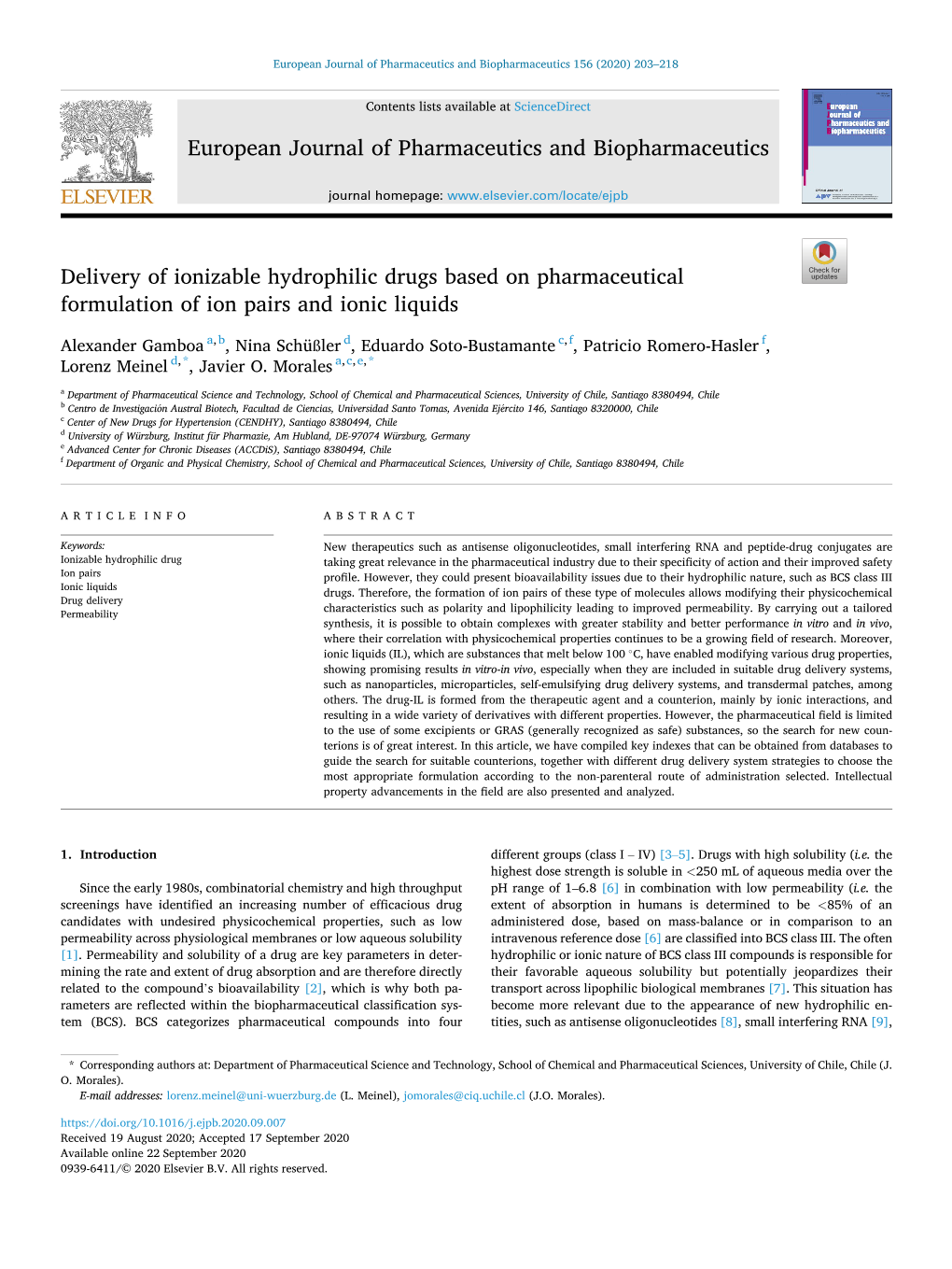 Delivery of Ionizable Hydrophilic Drugs Based on Pharmaceutical Formulation of Ion Pairs and Ionic Liquids