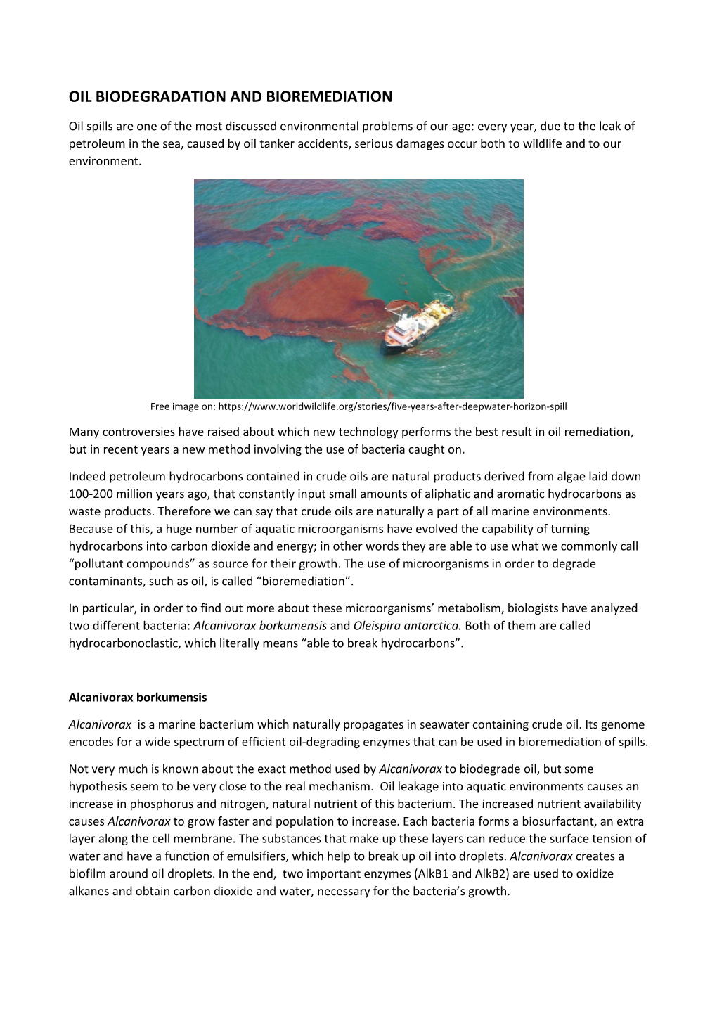 Oil Biodegradation and Bioremediation