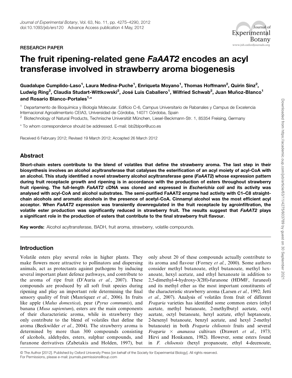 Changes in DNA the Fruit Ripening-Related Gene Faaat2