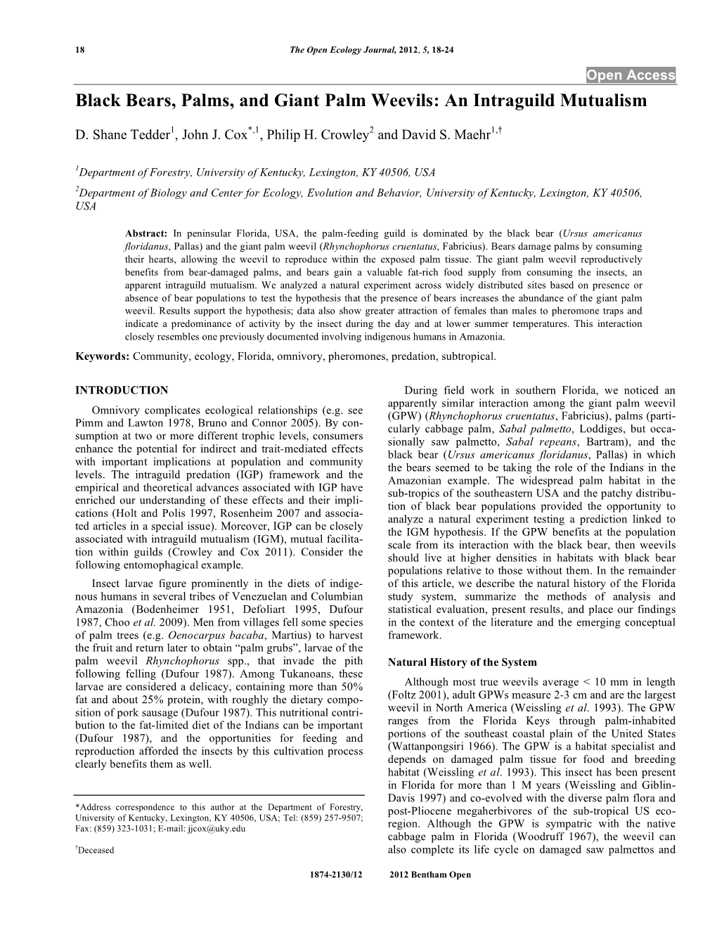 Black Bears, Palms, and Giant Palm Weevils: an Intraguild Mutualism