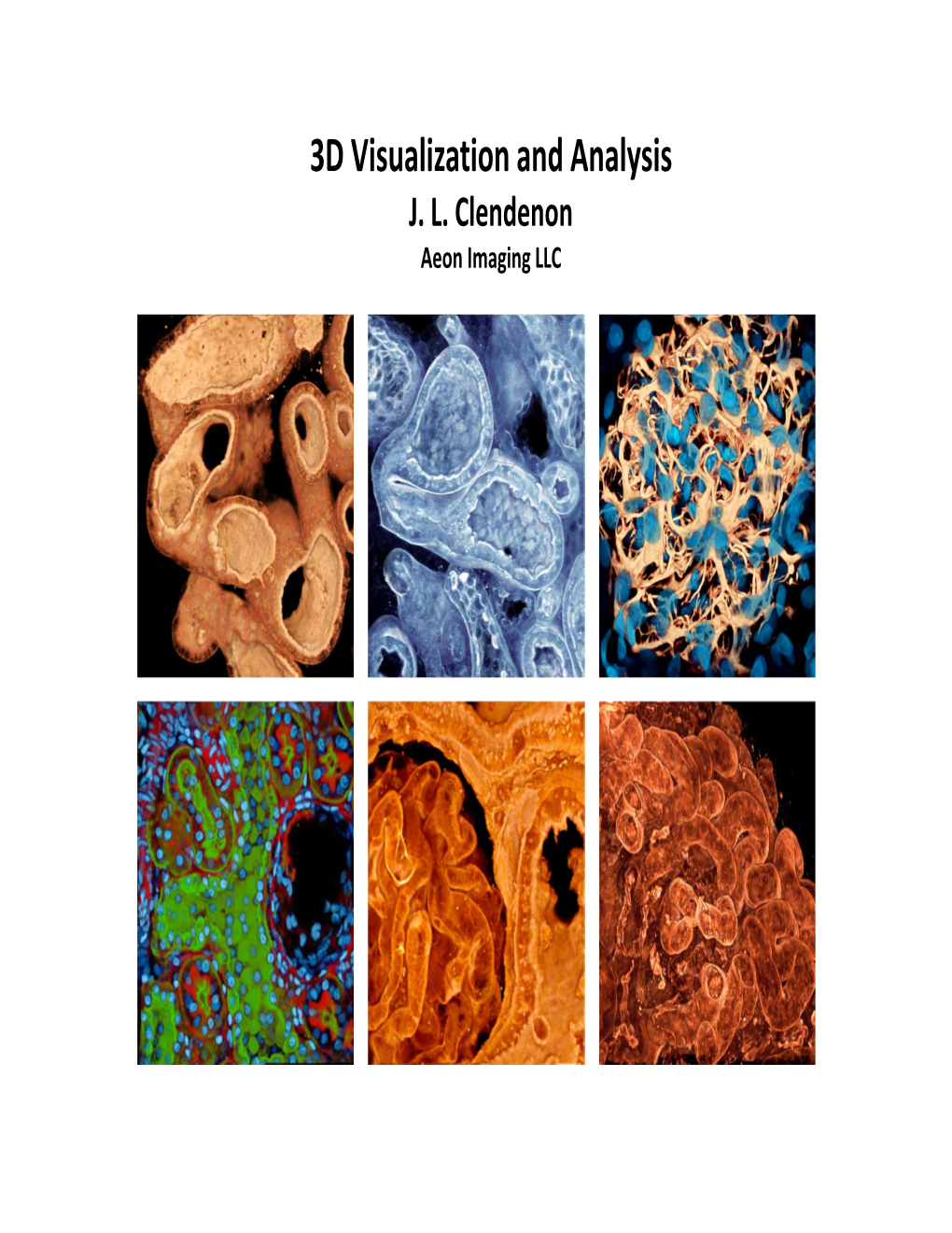 3D Visualization and Analysis J