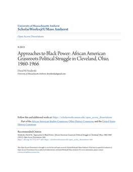 Approaches to Black Power: African American Grassroots Political Struggle in Cleveland, Ohio, 1960-1966 David M