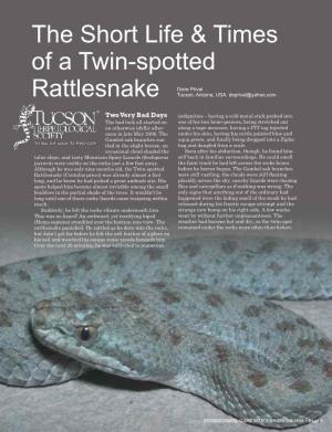The Short Life & Times of a Twin-Spotted Rattlesnake Dave Prival