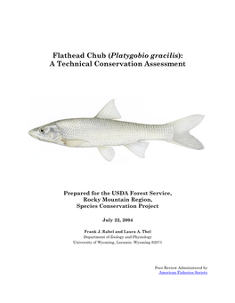 Flathead Chub (Platygobio Gracilis): a Technical Conservation Assessment