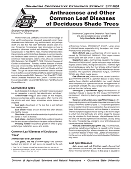 Anthracnose and Other Common Leaf Diseases of Deciduous Shade Trees