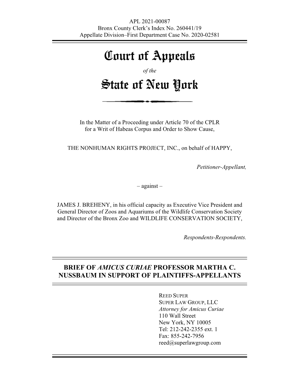 Amicus Brief