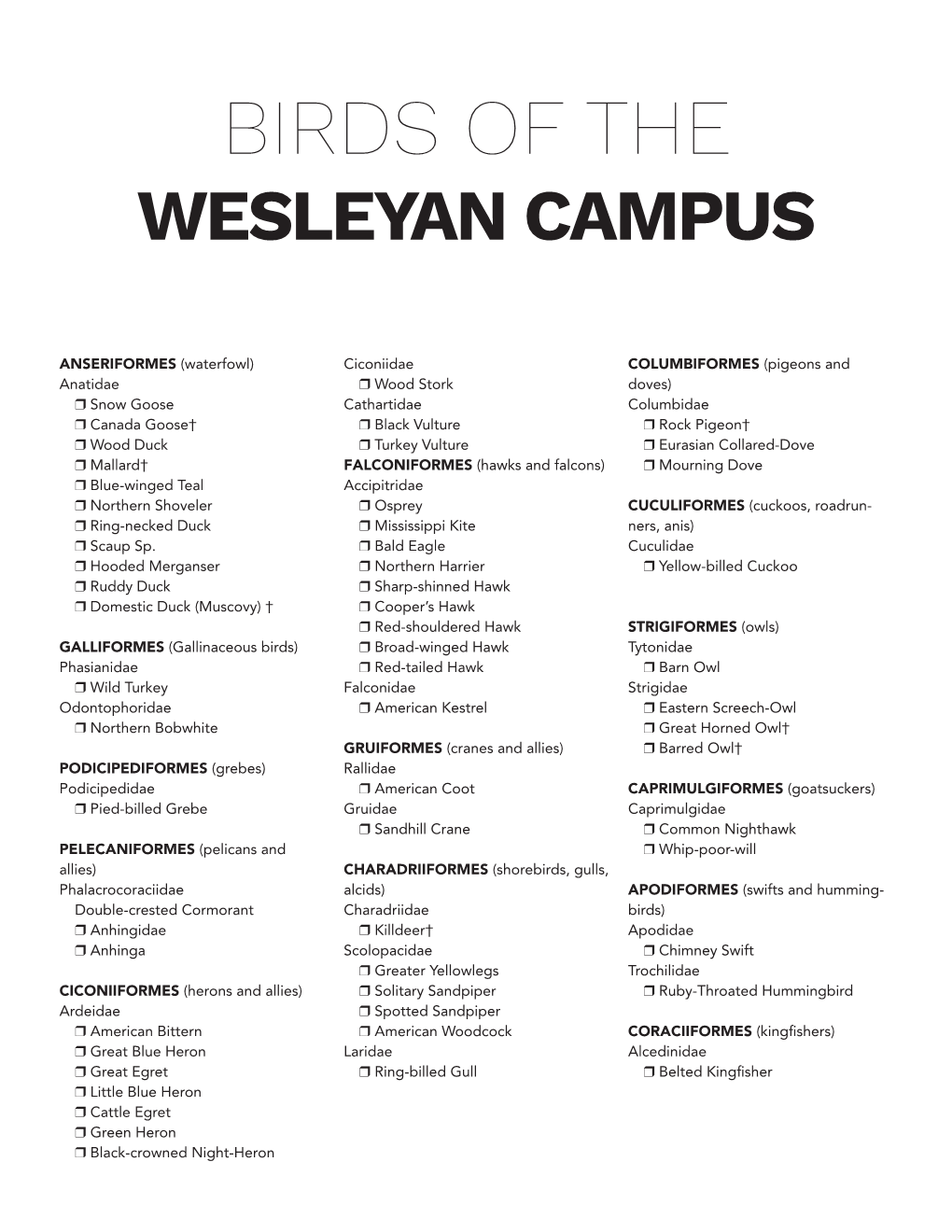 Birds of the Wesleyan Campus