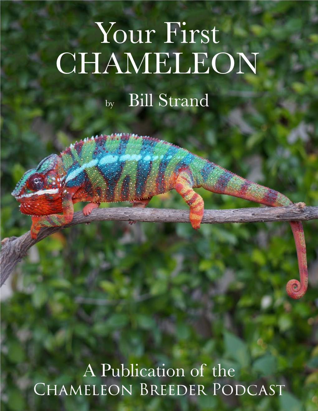 CHAMELEON Your First