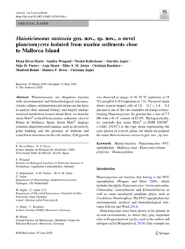 Maioricimonas Rarisocia Gen. Nov., Sp. Nov., a Novel Planctomycete Isolated from Marine Sediments Close to Mallorca Island