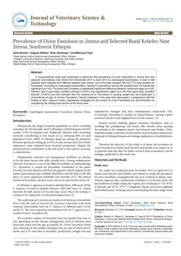 Prevalence of Ovine Fasiolosis in Jimma and Selected Rural Kebeles Near Jimma, Southwest Ethiopia