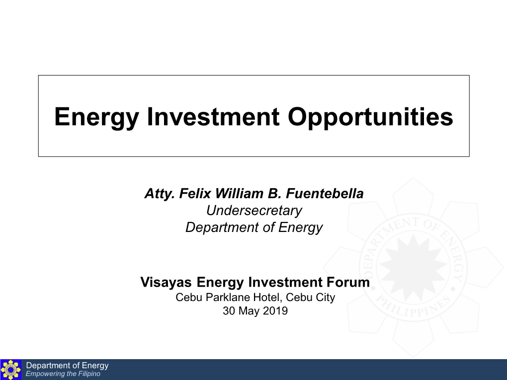 Visayas Energy Investment Opportunities