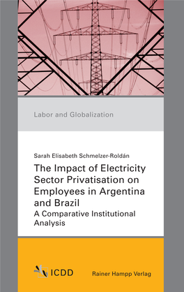 The Impact of Electricity Sector Privatisation on Employees in Argentina and Brazil a Comparative Institutional Analysis