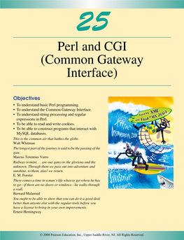 Perl and CGI (Common Gateway Interface)
