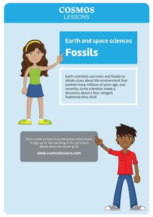 Earth and Space Sciences Fossils