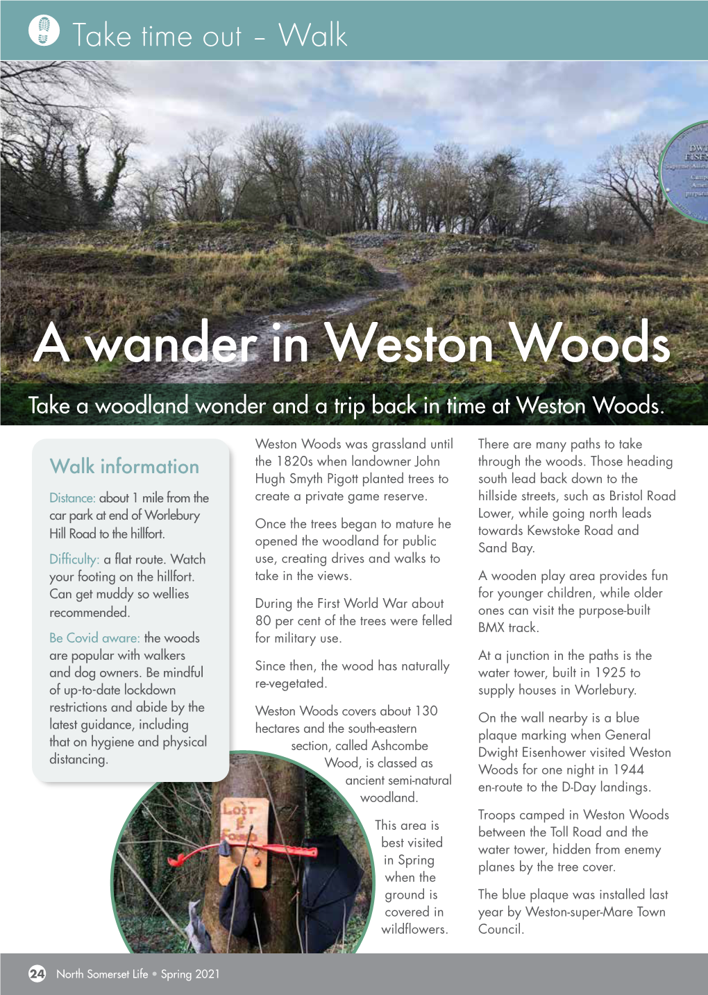 Spring 2021: a Wander in Weston Woods