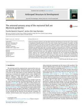 The Antennal Sensory Array of the Nocturnal Bull Ant Myrmecia Pyriformis