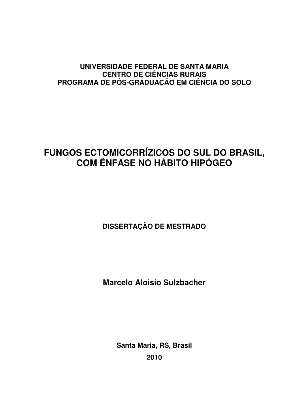 SULZBACHER, MARCELO ALOISIO.Pdf (9.948Mb)