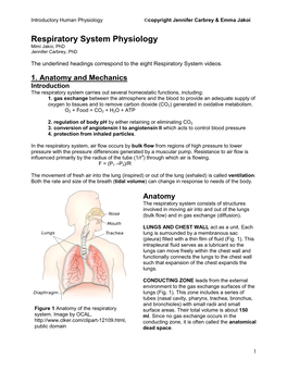 Respiratory System Physiology Mimi Jakoi, Phd Jennifer Carbrey, Phd