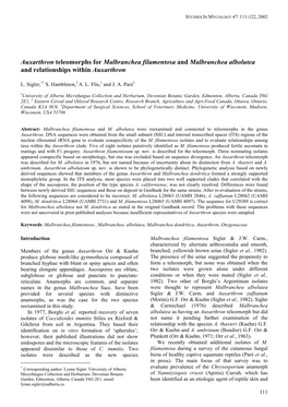 Auxarthron Teleomorphs for Malbranchea Filamentosa and Malbranchea Albolutea and Relationships Within Auxarthron
