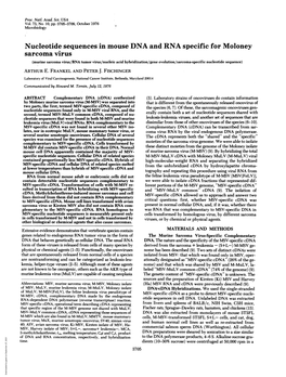 Nucleotide Sequences in Mouse DNA and RNA Specific for Moloney Sarcoma Virus