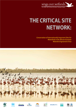 The Critical Site Network
