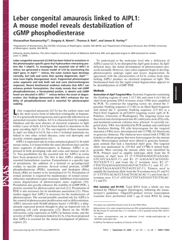 Leber Congenital Amaurosis Linked to AIPL1: a Mouse Model Reveals Destabilization of Cgmp Phosphodiesterase