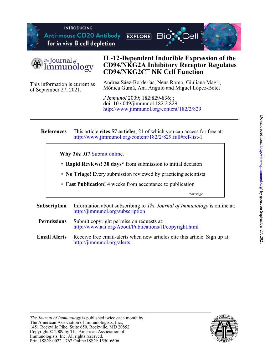 NK Cell Function + CD94/NKG2C CD94/NKG2A Inhibitory Receptor