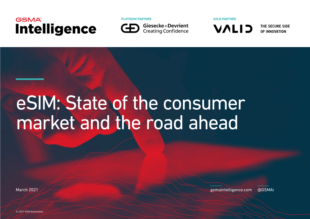 Esim: State of the Consumer Market and the Road Ahead